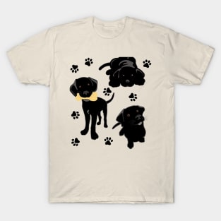 Three Black Lab Puppies T-Shirt